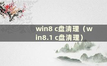 win8 c盘清理（win8.1 c盘清理）